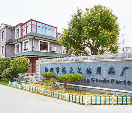 Our Company