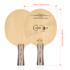 in Stock Ayous Professional Table Tennis Racket Pingpong Blade