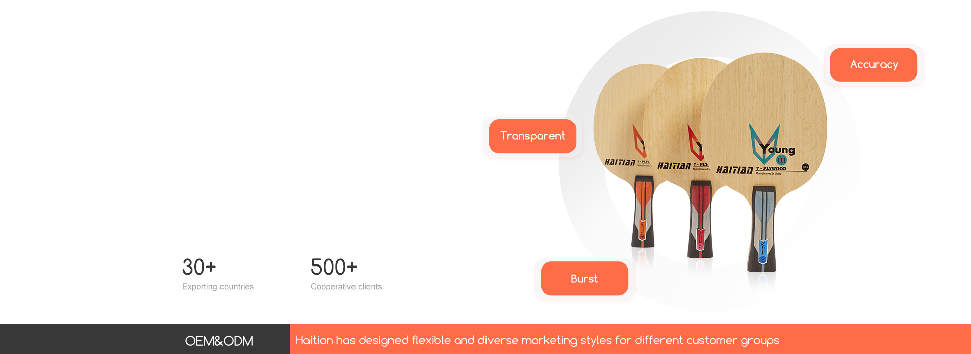Table Tennis Blade