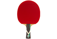 Custom table tennis racket.png