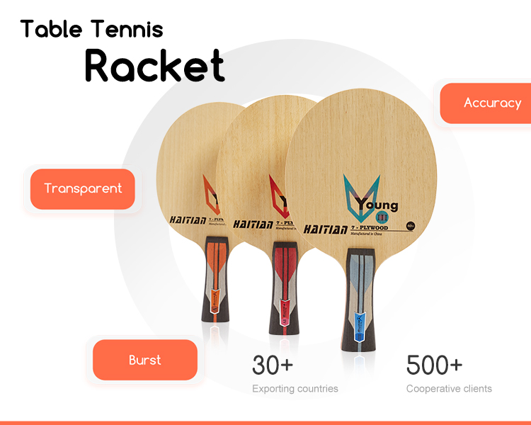 Table Tennis Blade
