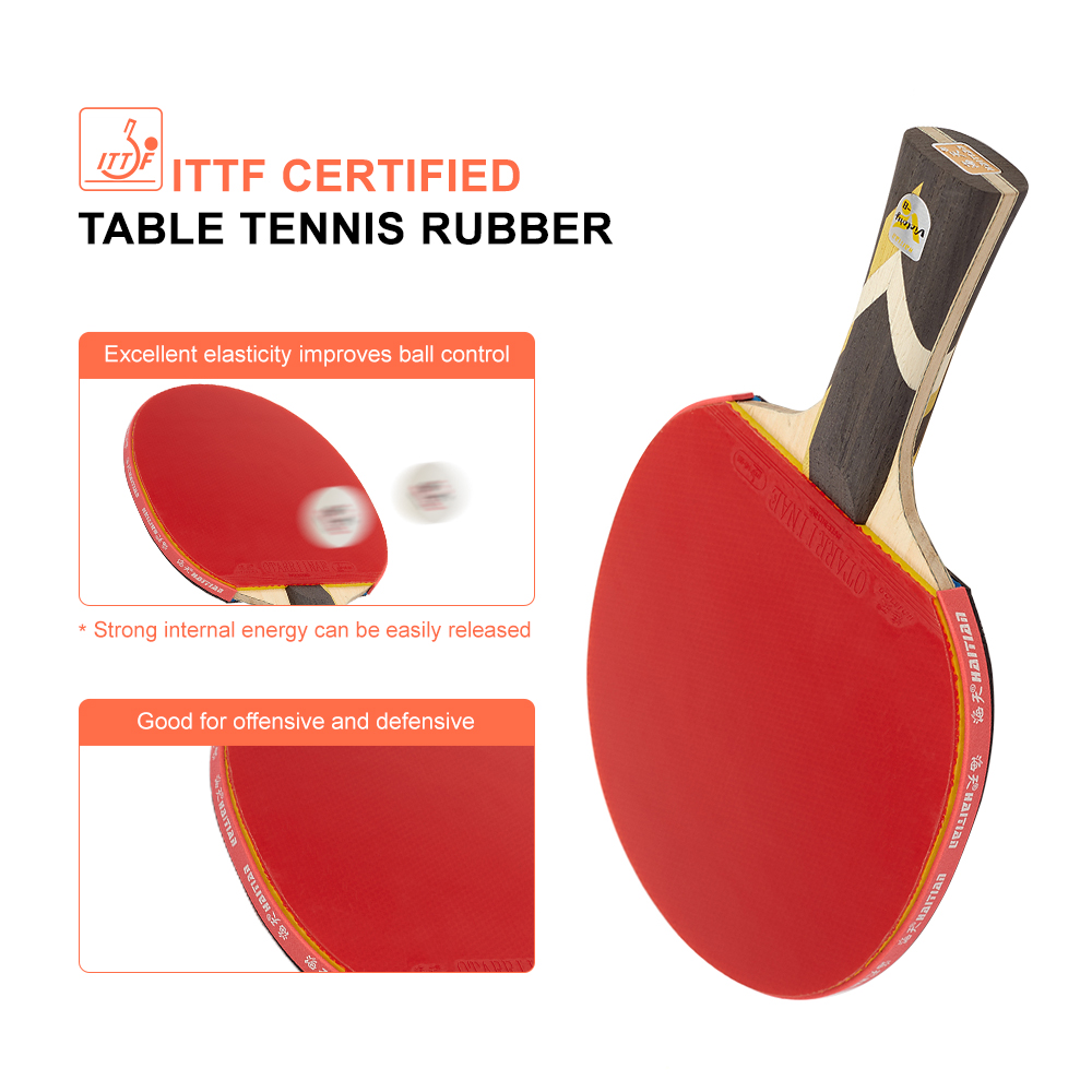 table tennis bat carbon hard case