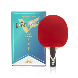 China Outdoor Indoor Ping-pong Racket Ping Pong Profesional Bat Table Tennis Racket in Standard