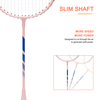 Custom Made in China Manufacture Professional Sport Badminton Training Badminton Racket Set With Cheap Price