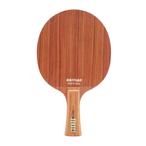 OEM Professional Rackets Ayous Core Fiber 5 Ply Table Tennis Blade with Custom Logo