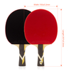 Best Price Popular 7-star Table Tennis Bats Best Quality Competitive Cost Table Tennis Racket