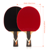 Superior Professional Ping-pong Racket (Single) Best Table Tennis Racket For Player Training