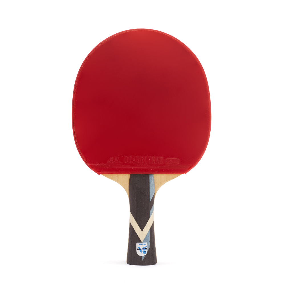 China Outdoor Indoor Ping-pong Racket Ping Pong Profesional Bat Table Tennis Racket in Standard