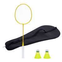 China Wholesale Low Price Professional Training Badminton Racquet Custom High Quality Iron Badminton Racket Set